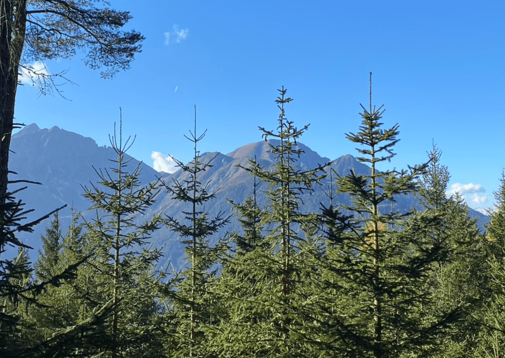 Nature-based solutions: How nature protects humans against natural disasters 